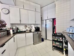 Bayshore Park (D16), Condominium #504133931